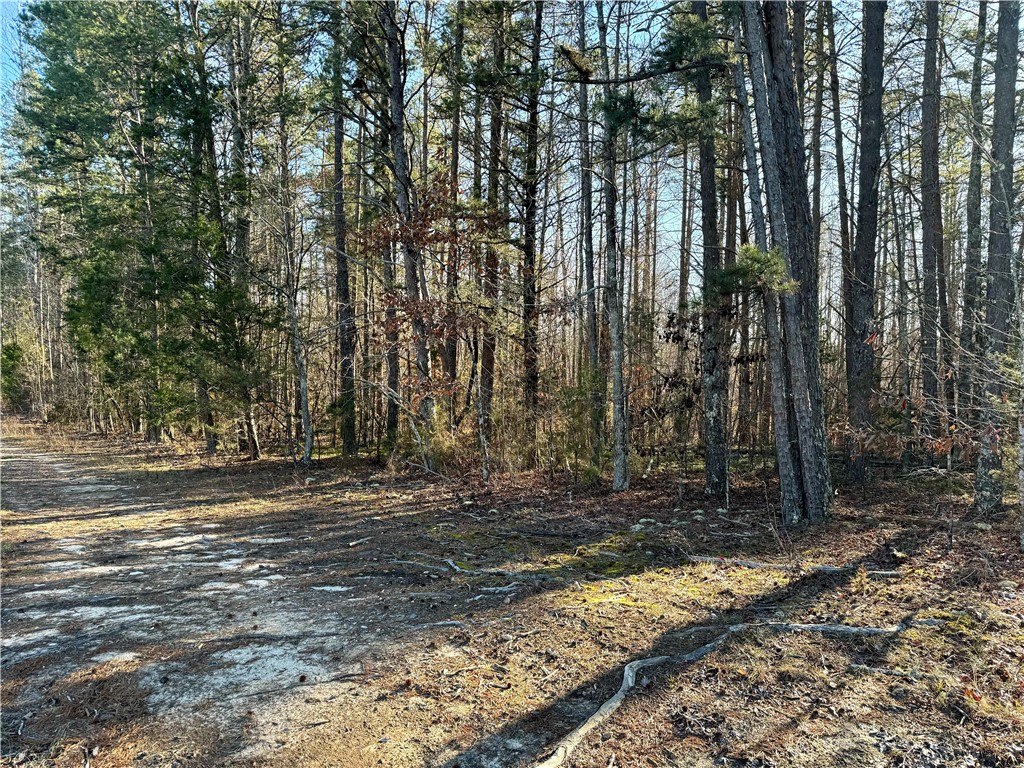 B Rock Cut Road Smyrna, SC 29743 - Photo 5 of 18