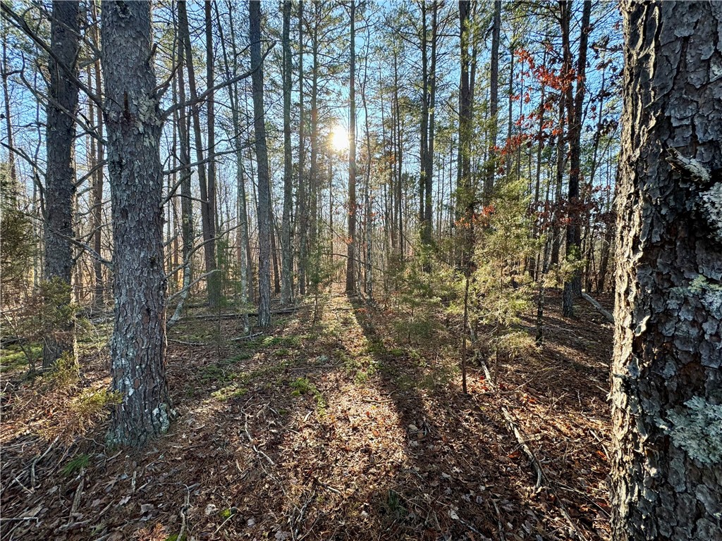 B Rock Cut Road Smyrna, SC 29743 - Photo 6 of 18