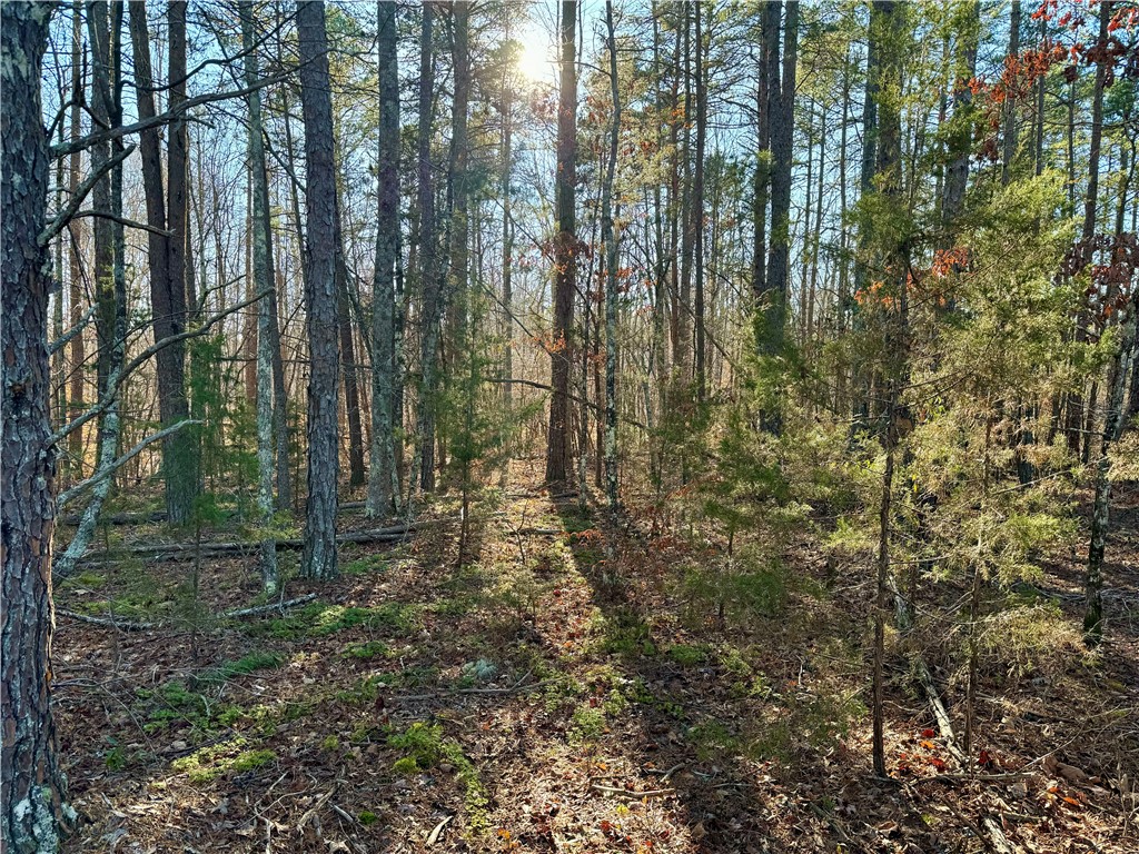 B Rock Cut Road Smyrna, SC 29743 - Photo 7 of 18