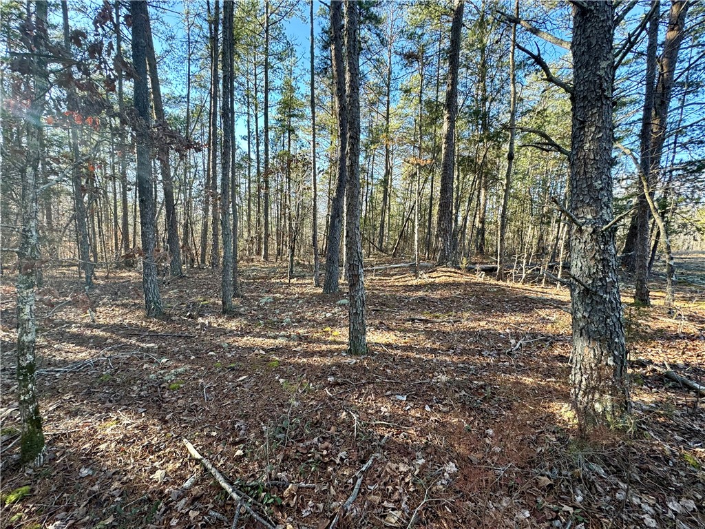 B Rock Cut Road Smyrna, SC 29743 - Photo 8 of 18