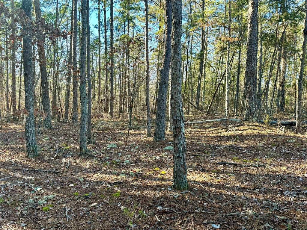B Rock Cut Road Smyrna, SC 29743 - Photo 9 of 18