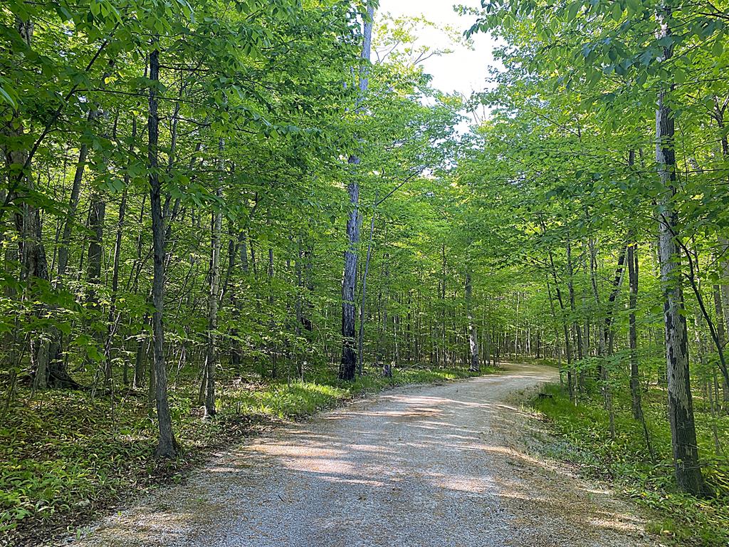 Tbd Garrett Bay Road Ellison Bay, WI 54210 - Photo 16 of 16