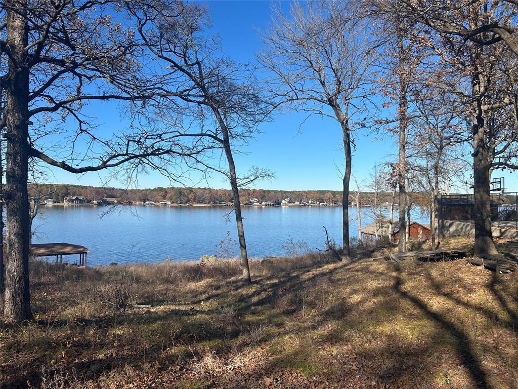 115 Sandy Top Road Scroggins, TX 75480 - Photo 14 of 15