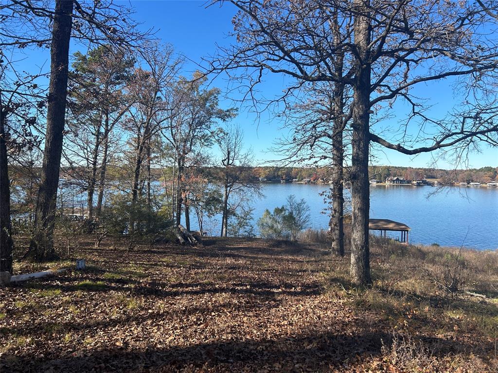 115 Sandy Top Road Scroggins, TX 75480 - Photo 15 of 15