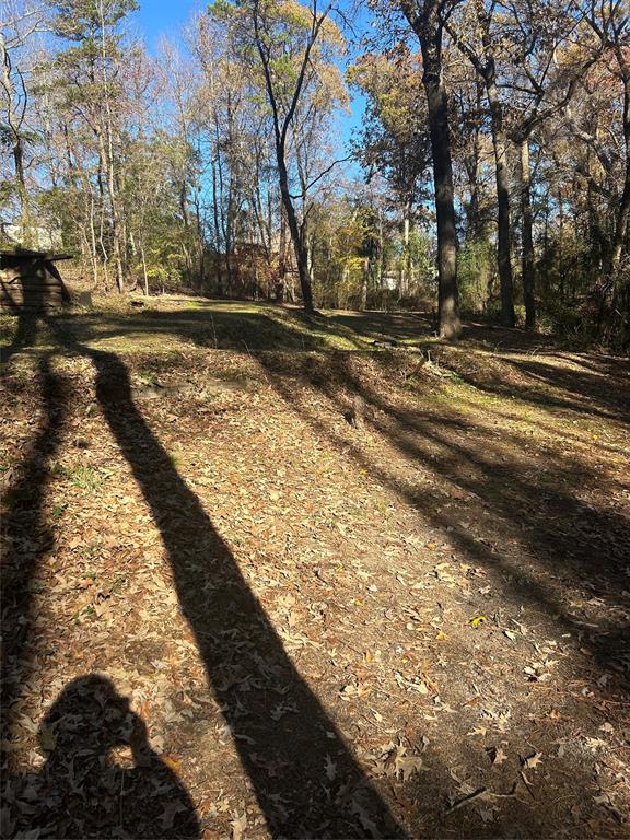 115 Sandy Top Road Scroggins, TX 75480 - Photo 5 of 15