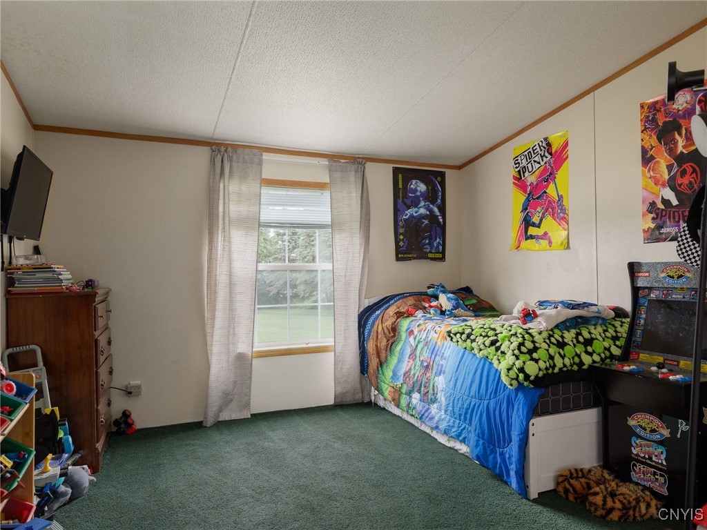 5212 Flat Rock Road Martinsburg, NY 13367 - Photo 20 of 45