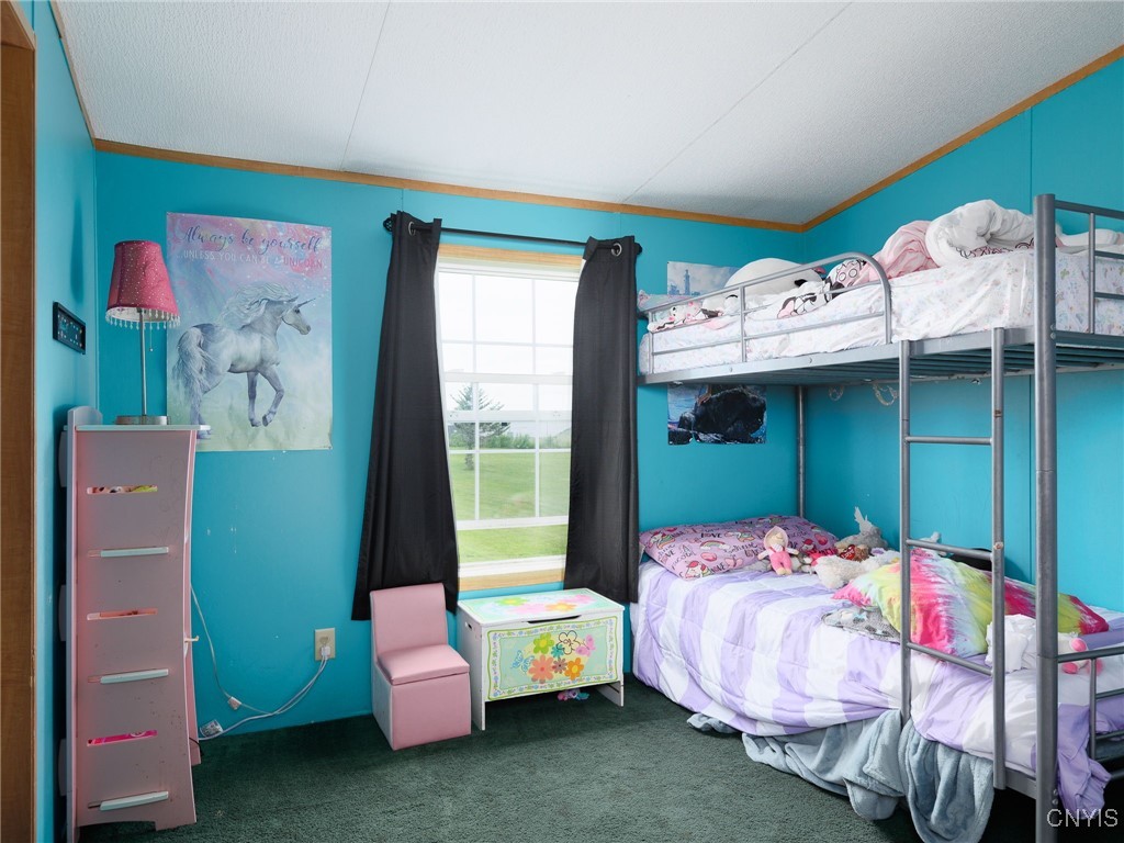 5212 Flat Rock Road Martinsburg, NY 13367 - Photo 22 of 45