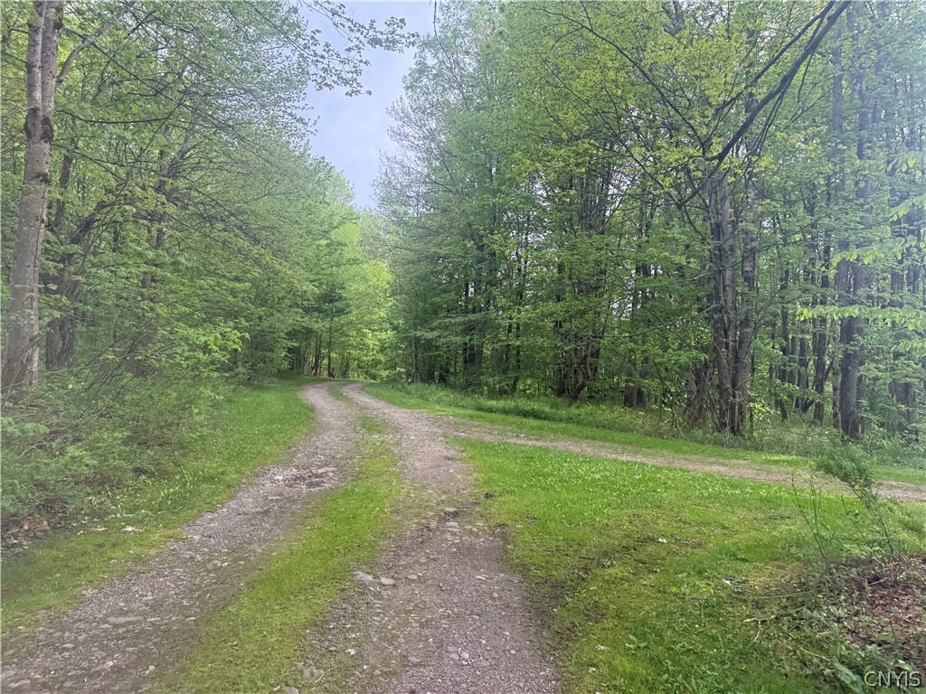 Lot #9 Lost Ridge Road, Unit 9 Camden, NY 13316 - Photo 13 of 27