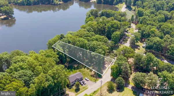 a view of a garden with a lake