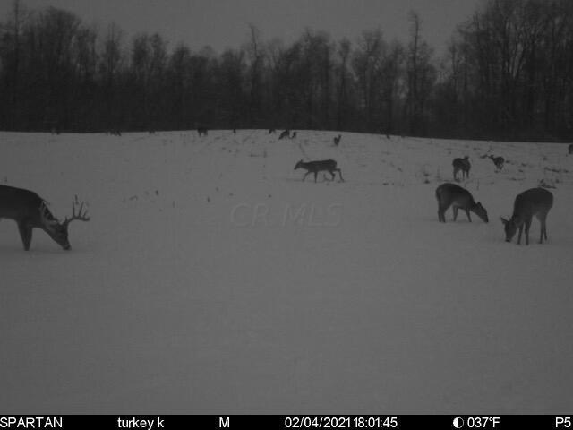 10 Blue Road Mount Vernon, OH 43050 - Photo 22 of 23 IMG_8034