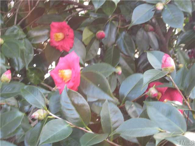 232-c C Cc Routh Road Bear Creek, NC 27207 - Photo 23 of 24