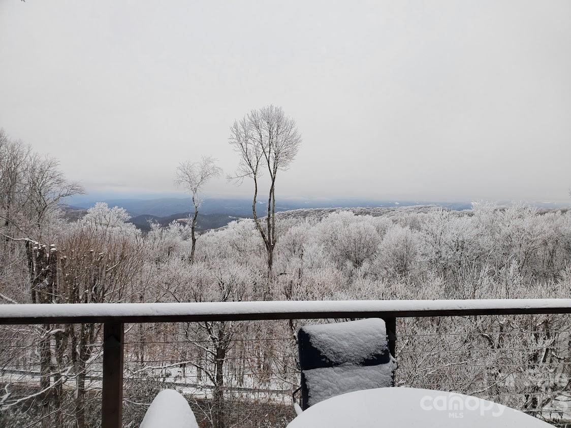 110 Tamarack Road Beech Mountain, NC 28604 - Photo 5 of 46 Gallery Image 5