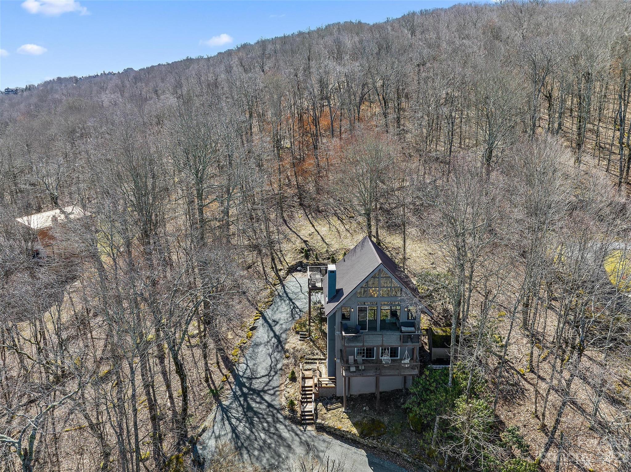 110 Tamarack Road Beech Mountain, NC 28604 - Photo 8 of 46 Gallery Image 8