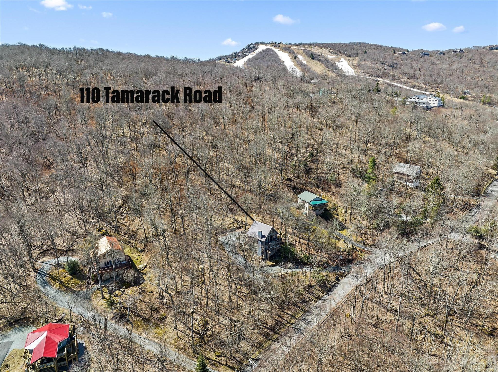 110 Tamarack Road Beech Mountain, NC 28604 - Photo 9 of 46 Gallery Image 9