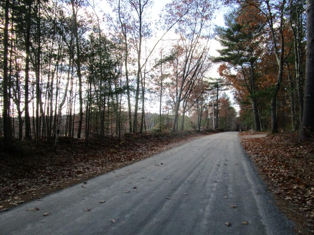 Tbd Strickland Ferry Road Wayne, ME 04284 - Photo 3 of 6 Strickland Ferry Wayne 019 (Custom) (2)