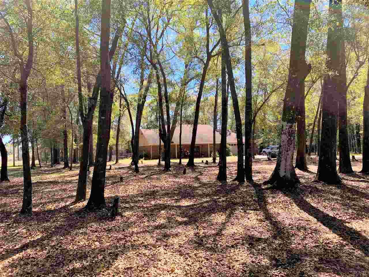 9594 Lakeview Road Bay Minette, AL 36507 - Photo 44 of 50 Gallery Image 44