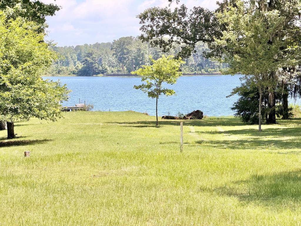97 County Road 97 Abbeville, AL 36310 - Photo 6 of 15