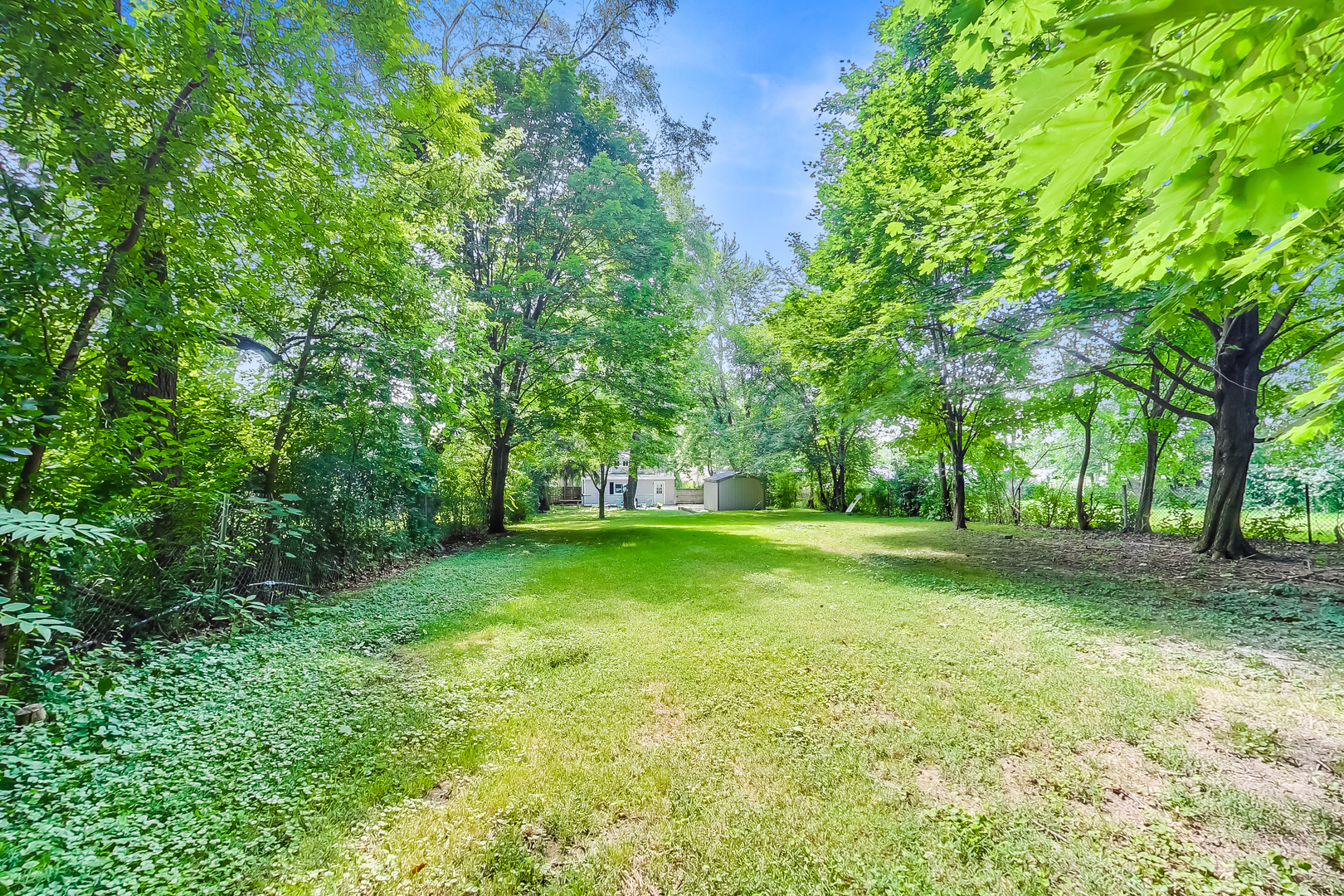 1518 Riverside Avenue St. Charles, IL 60174 - Photo 38 of 40 a view of a trees in a yard