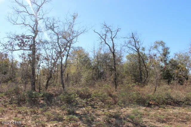 $14,900 | 0 Dumont Avenue, Unit LOT 5, Chipley, FL 32428