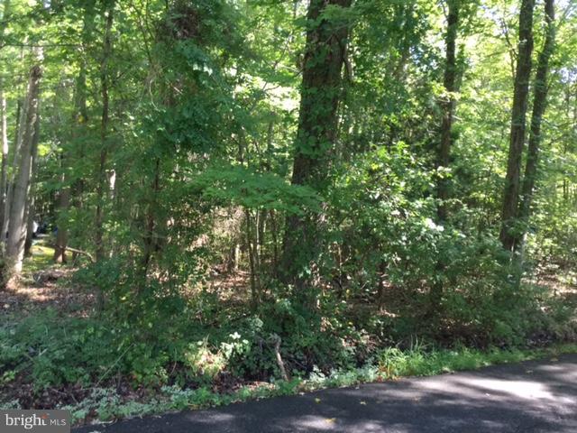 1464 Shadyrest Road Shady Side, MD 20764 - Photo 5 of 6 View