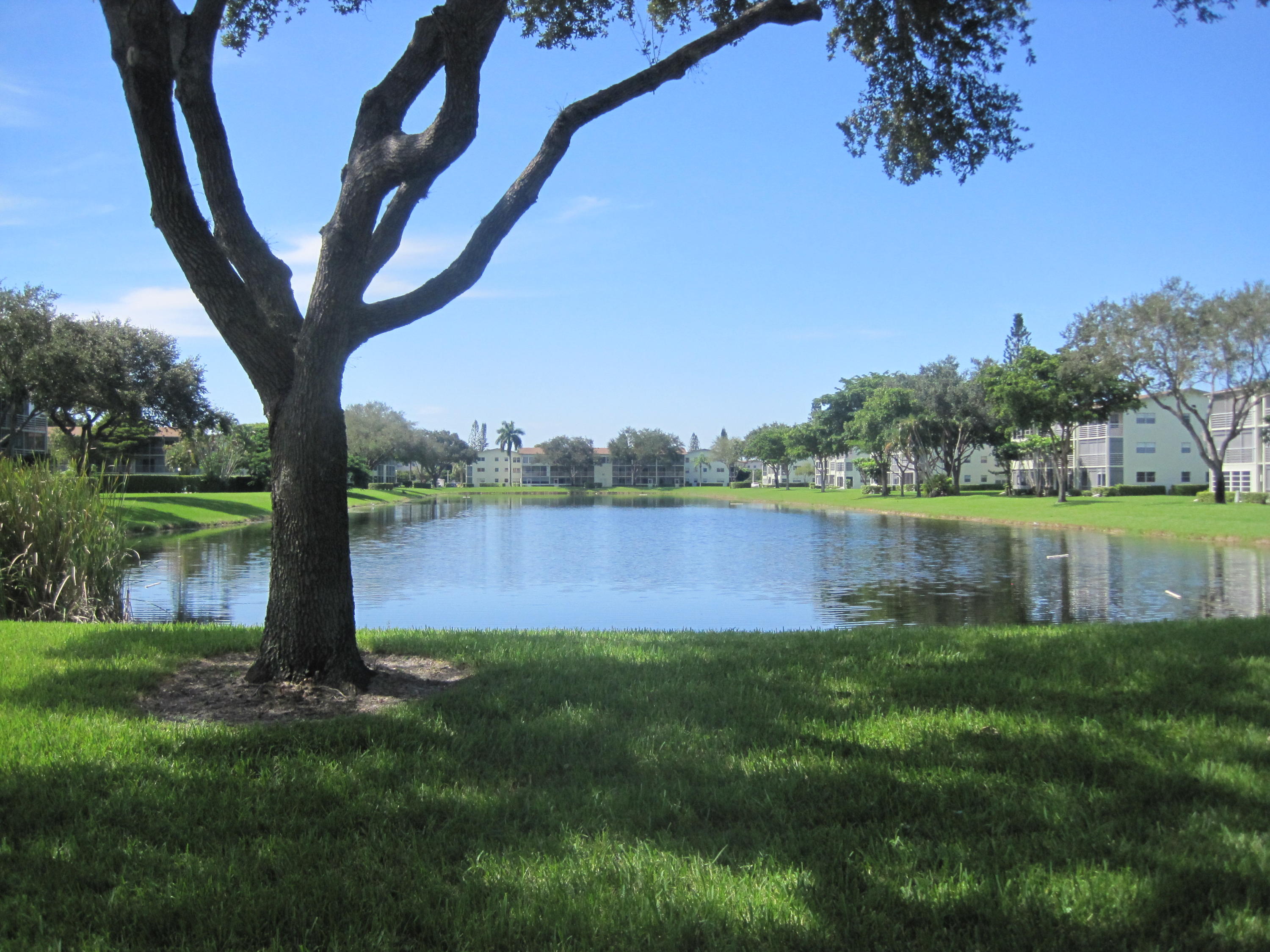 216 Dorset F, Unit 216 Boca Raton, FL 33434 - Photo 25 of 25 Rear View