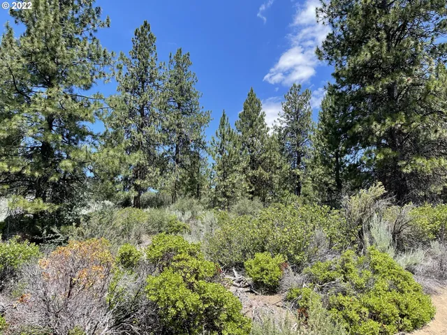 $45,000 | Legget Drive, Unit 22, Chiloquin, OR 97624