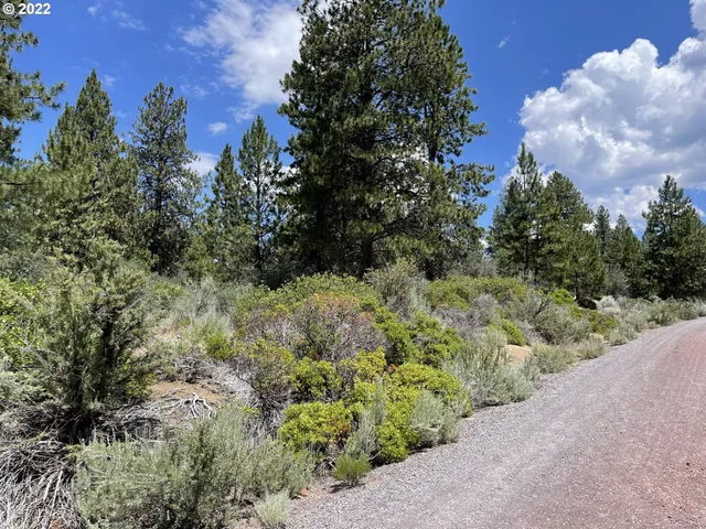 $45,000 | Legget Drive, Unit 22, Chiloquin, OR 97624