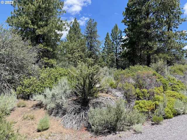 $45,000 | Legget Drive, Unit 22, Chiloquin, OR 97624