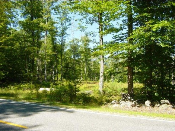 Lot 20 Lyford Road Brookfield, NH 03872 - Photo 1 of 8 Gallery Image 1