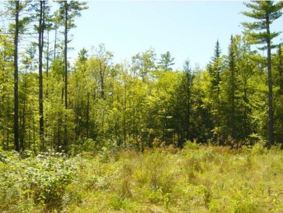 Lot 20 Lyford Road Brookfield, NH 03872 - Photo 2 of 8 Gallery Image 2