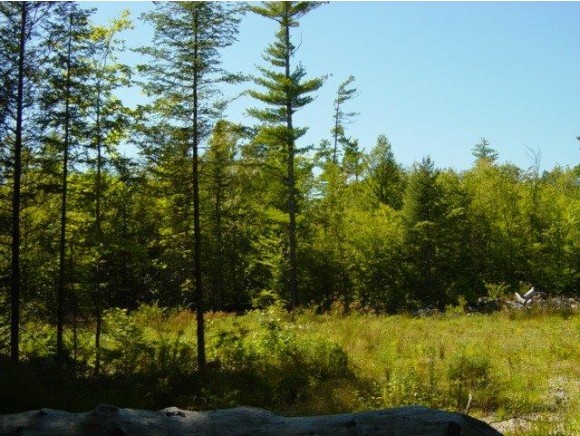 Lot 20 Lyford Road Brookfield, NH 03872 - Photo 4 of 8 Gallery Image 4