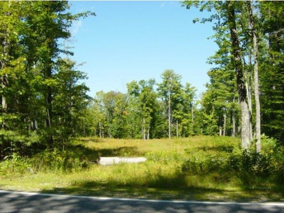 Lot 20 Lyford Road Brookfield, NH 03872 - Photo 6 of 8 Gallery Image 6