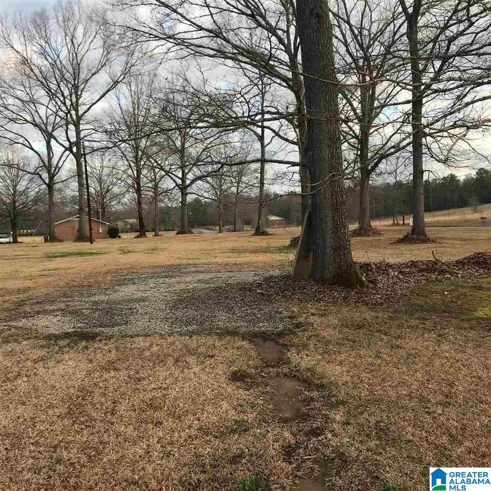 1547 Fulton Gap Road Sylacauga, AL 35150 - Photo 42 of 46