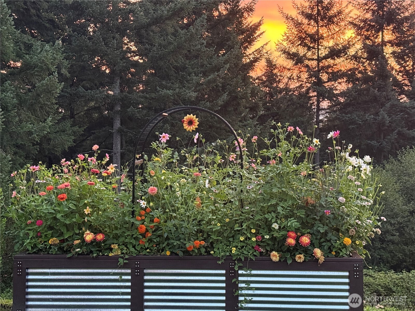 0 Seminary Hill Road Centralia, WA 98531 - Photo 8 of 8