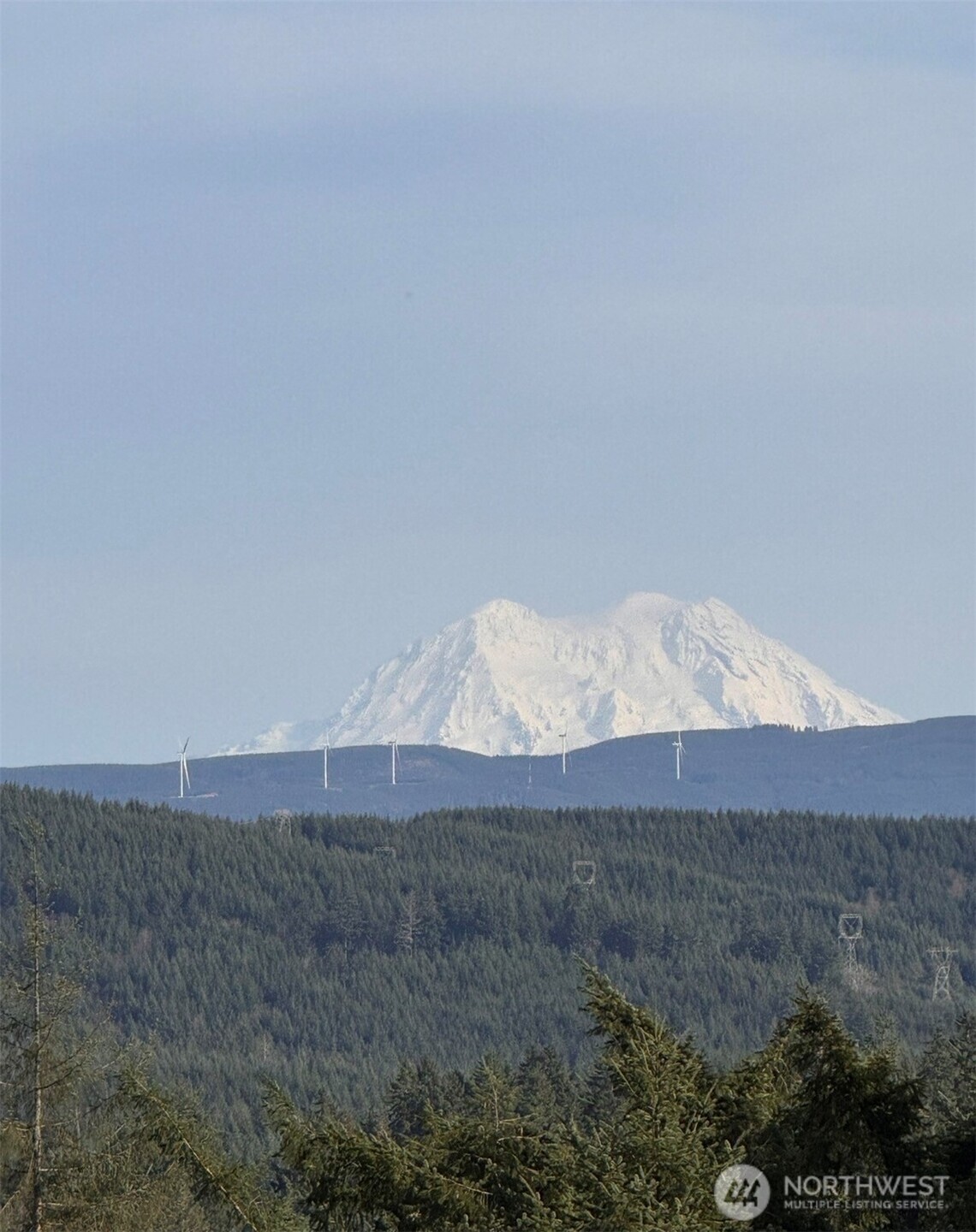 0 Seminary Hill Road Centralia, WA 98531 - Photo 10 of 11 Gallery Image 10