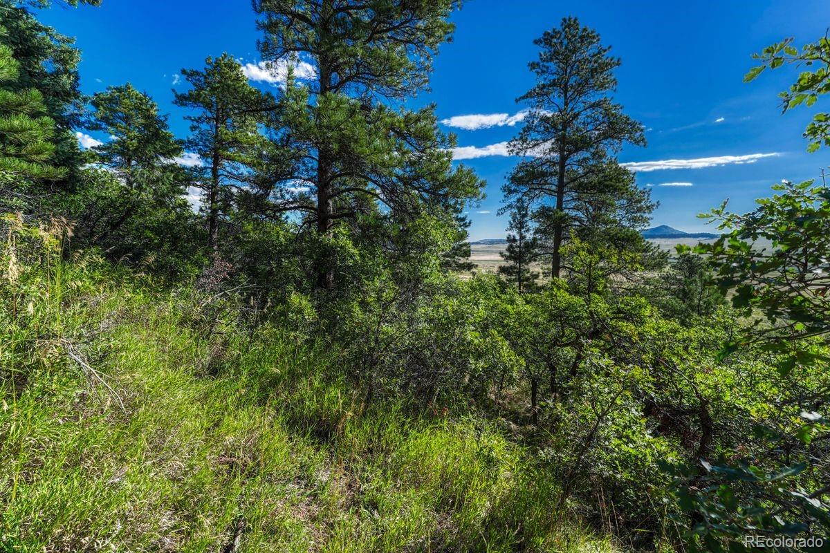 0 Columbine Road Larkspur, CO 80118 - Photo 18 of 37 Gallery Image 18
