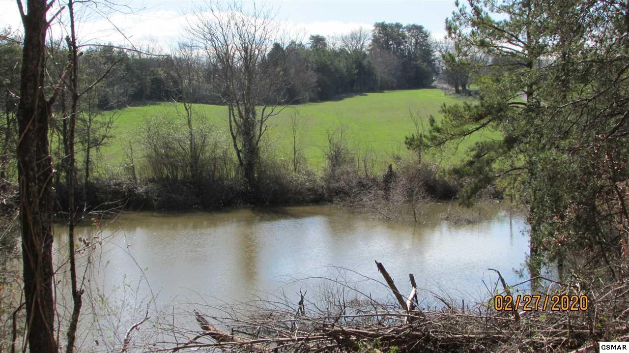3701 Brook Road Greenback, TN 37742 - Photo 19 of 19 Gallery Image 19
