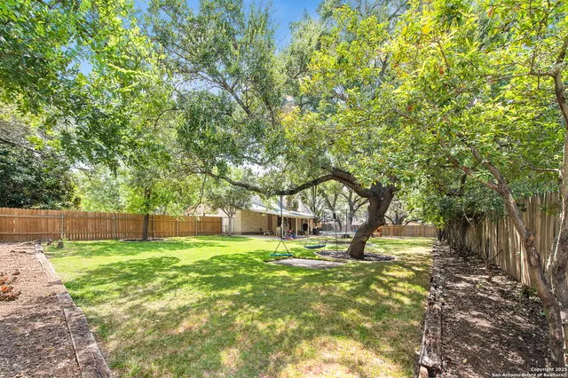 a large tree in the middle of a park