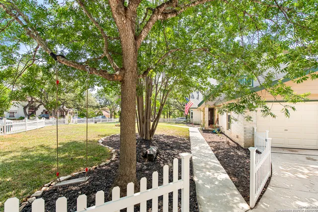 a view of a yard with plants and trees