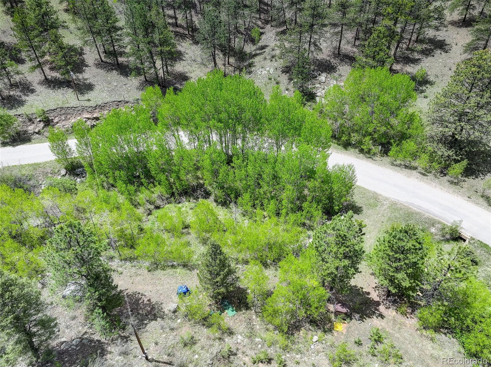 400 Crow Valley Road Bailey, CO 80421 - Photo 9 of 28