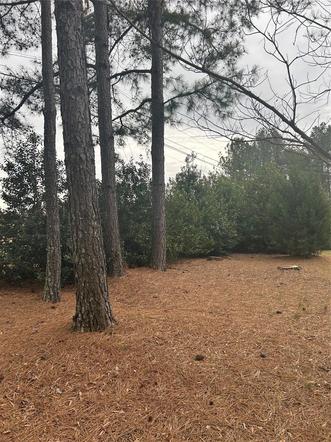 112 James Road Oakboro, NC 28129 - Photo 34 of 35 Gallery Image 34