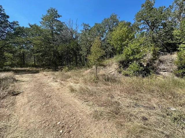 a view of a yard with trees