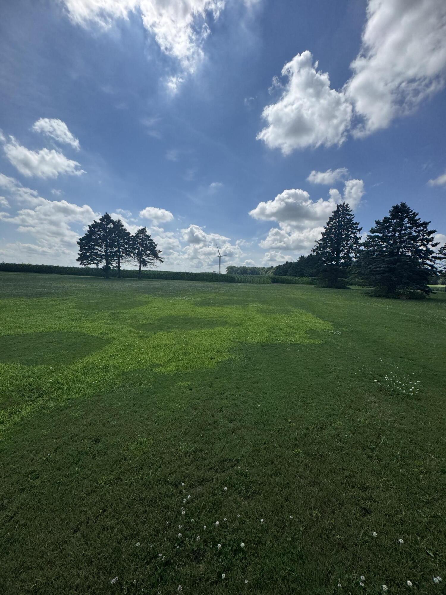 1247 North Steel Road Merrill, MI 48637 - Photo 31 of 40 IMG_4475