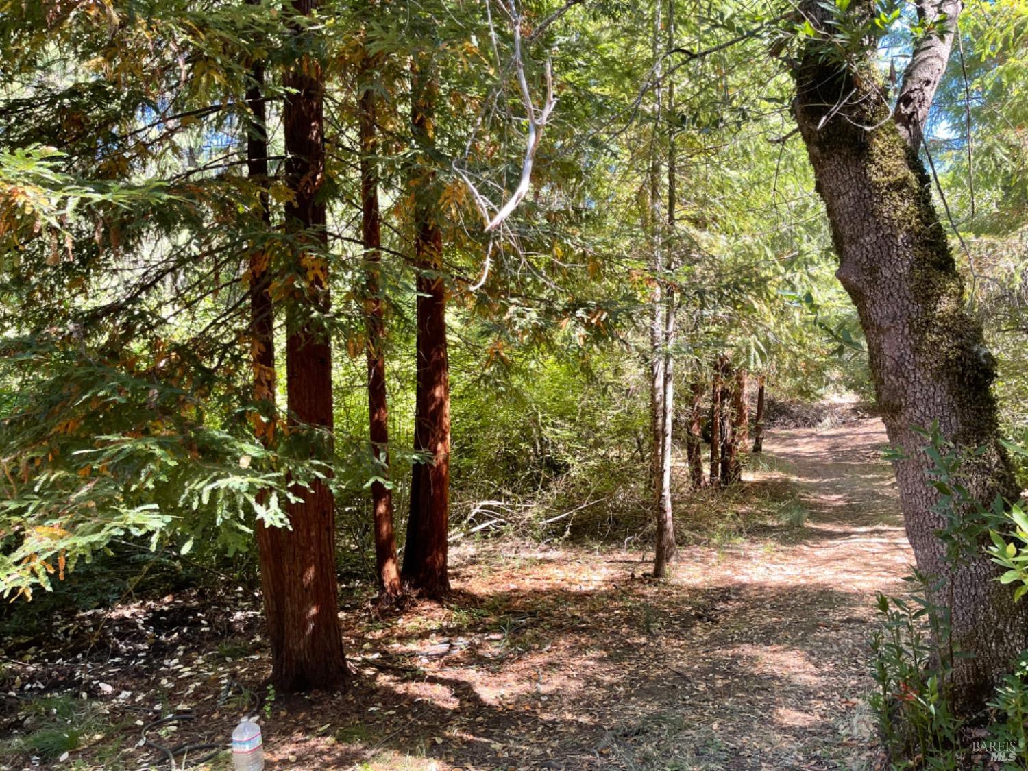 3490 Laytonville Dos Rios Road Laytonville, CA 95454 - Photo 14 of 38