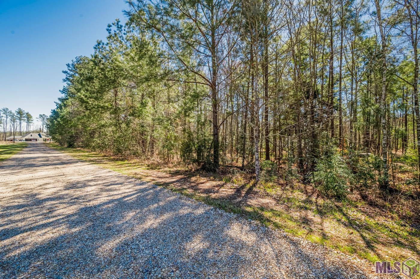 32701 Weiss Road Walker, LA 70785 - Photo 5 of 6