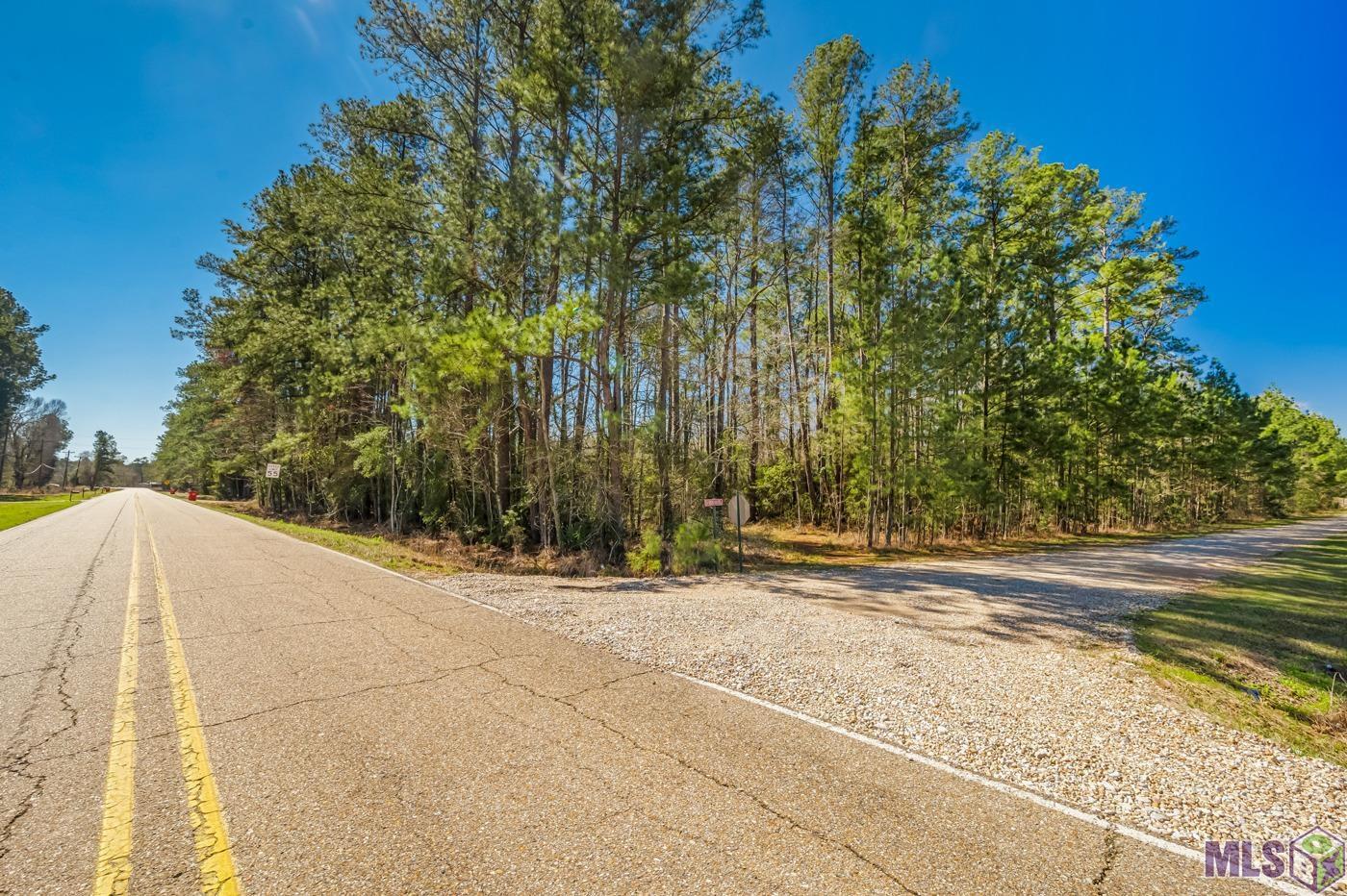 32701 Weiss Road Walker, LA 70785 - Photo 6 of 6