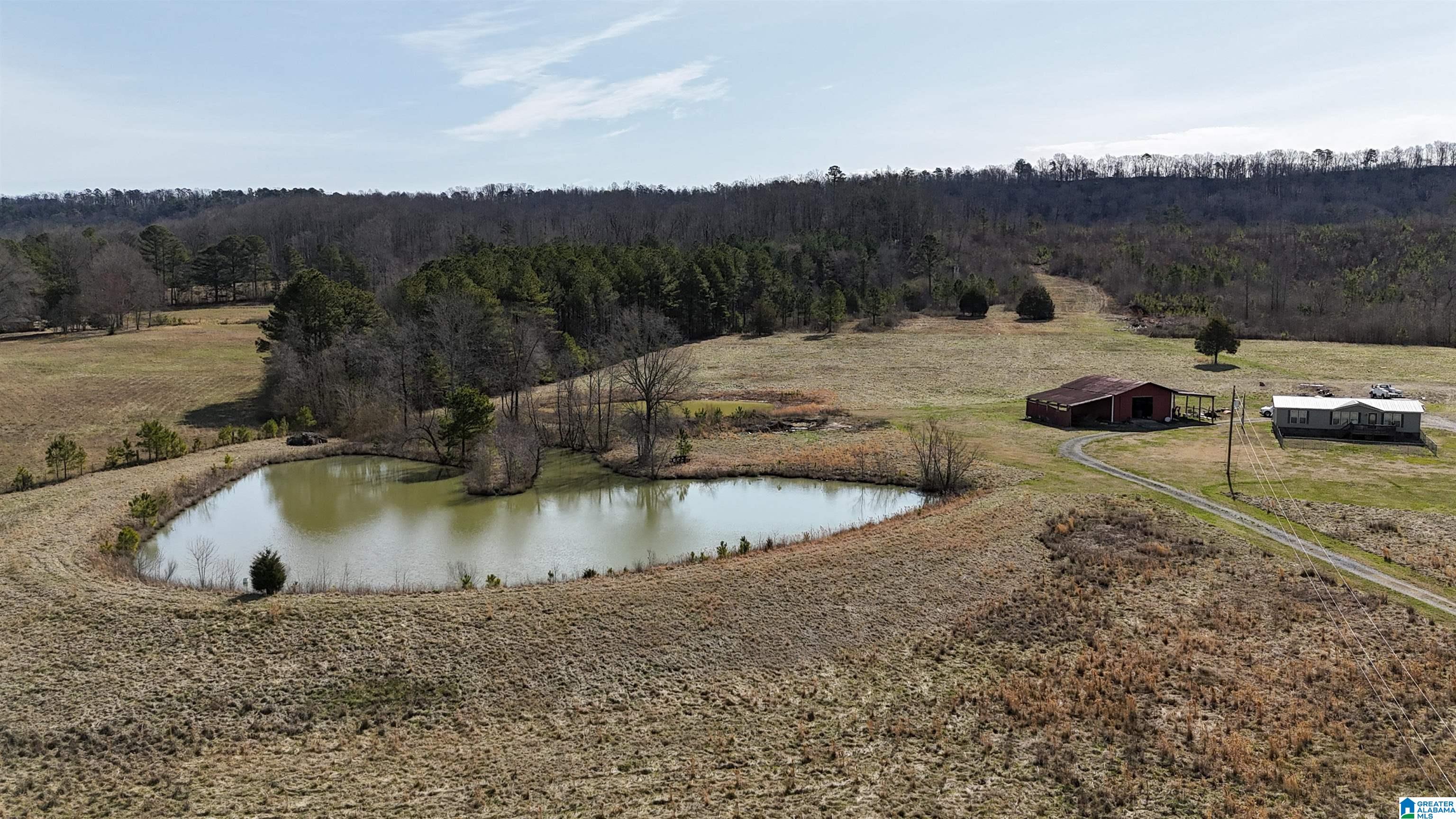 3410 Highway 132 Oneonta, AL 35121 - Photo 6 of 46