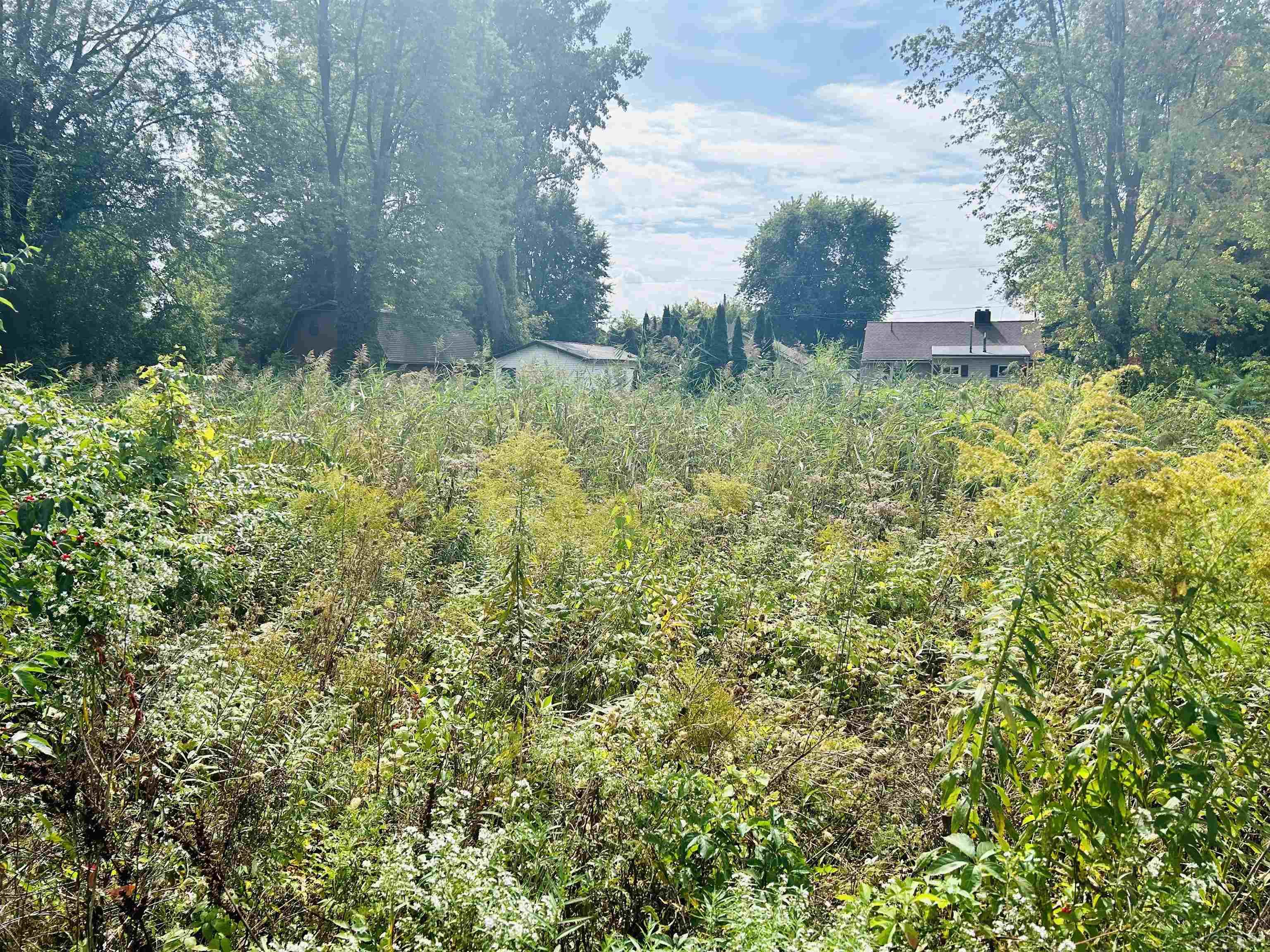Shady Shores Road Bay City, MI 48706 - Photo 9 of 11