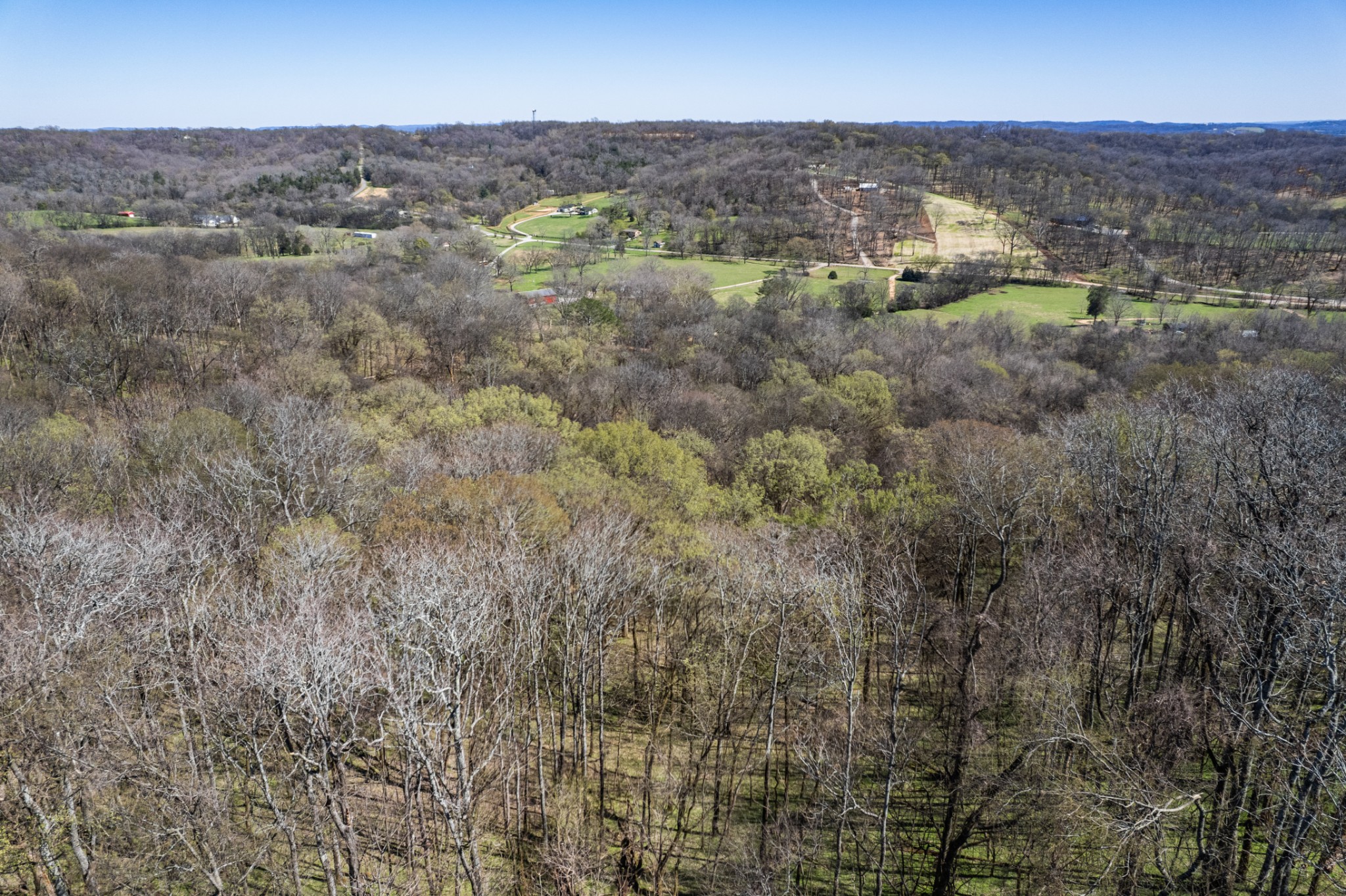 0 Dowell Branch Road Columbia, TN 38401 - Photo 13 of 60 Gallery Image 13