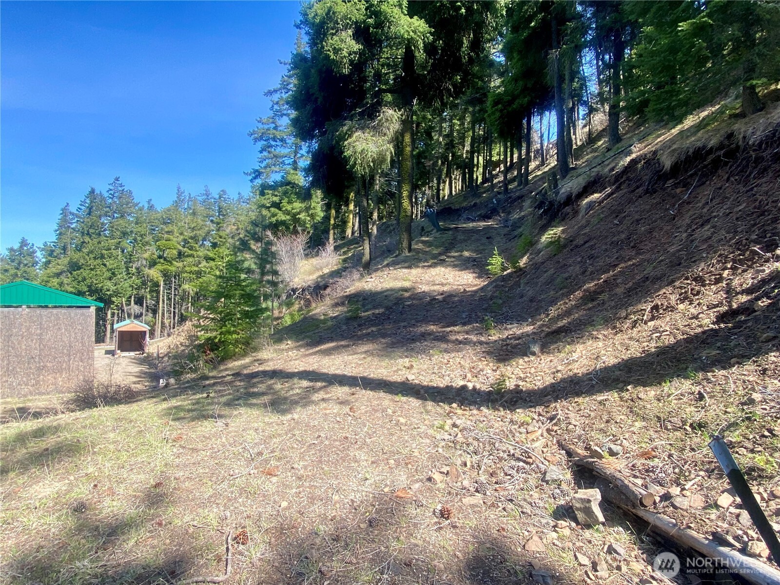 393 Tom And Nita Road Cle Elum, WA 98922 - Photo 24 of 30 a view of a yard with plants and trees